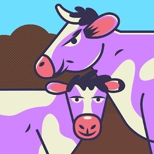 Meet your Posher, Precious